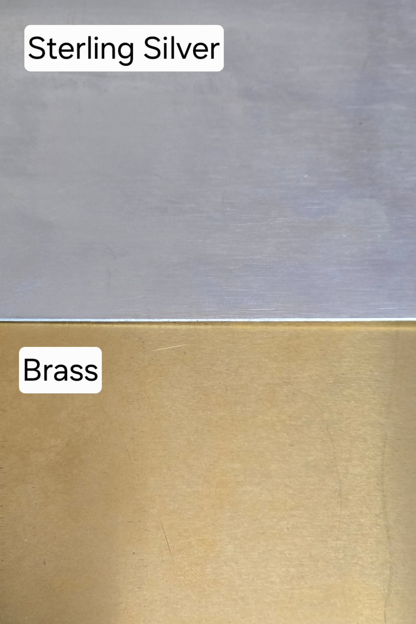 Dragonfly Dangle Earrings